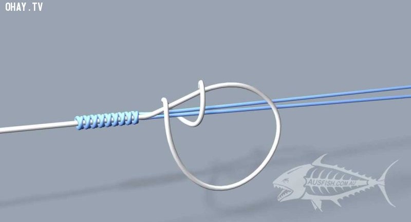 10 Cách buộc lưỡi câu cá, thắt nút khóa siêu chắc chắn